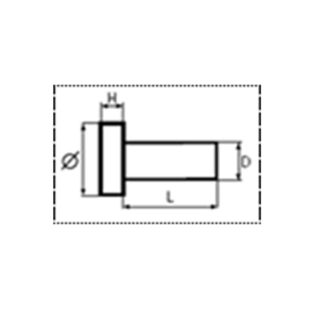 Rivet Plein 5X30 - Gfix