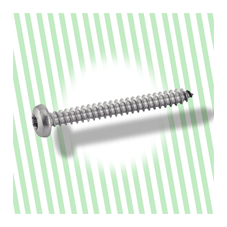 Vis Tôle Acier Tête Cylindrique 4.2X45 Cruciforme DIN 7981