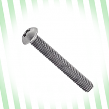 Vis Inox Tête bombée Torx inviolable M6X20