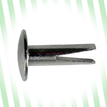Rivet Bifurqué Blanc 3.8X11 - Gfix